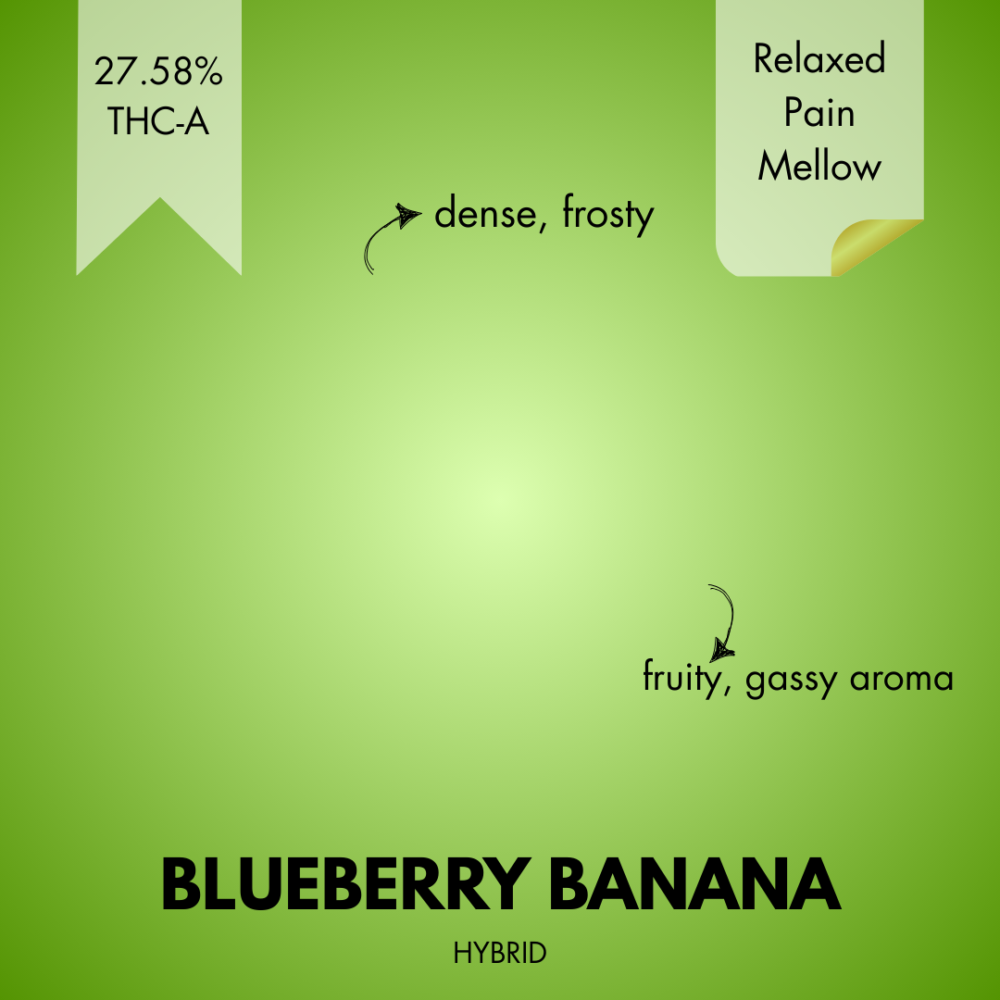 BLUEBERRY BANANA