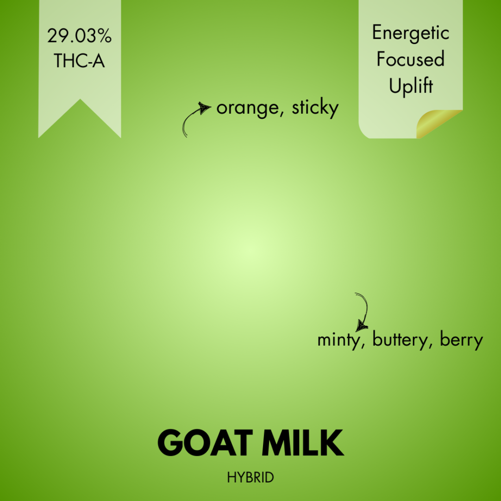 GOAT MILK