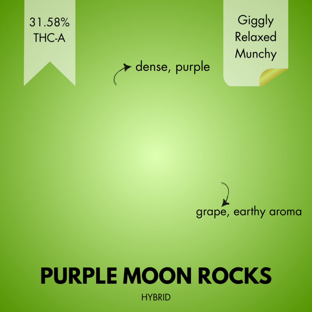 PURPLE MOON ROCKS