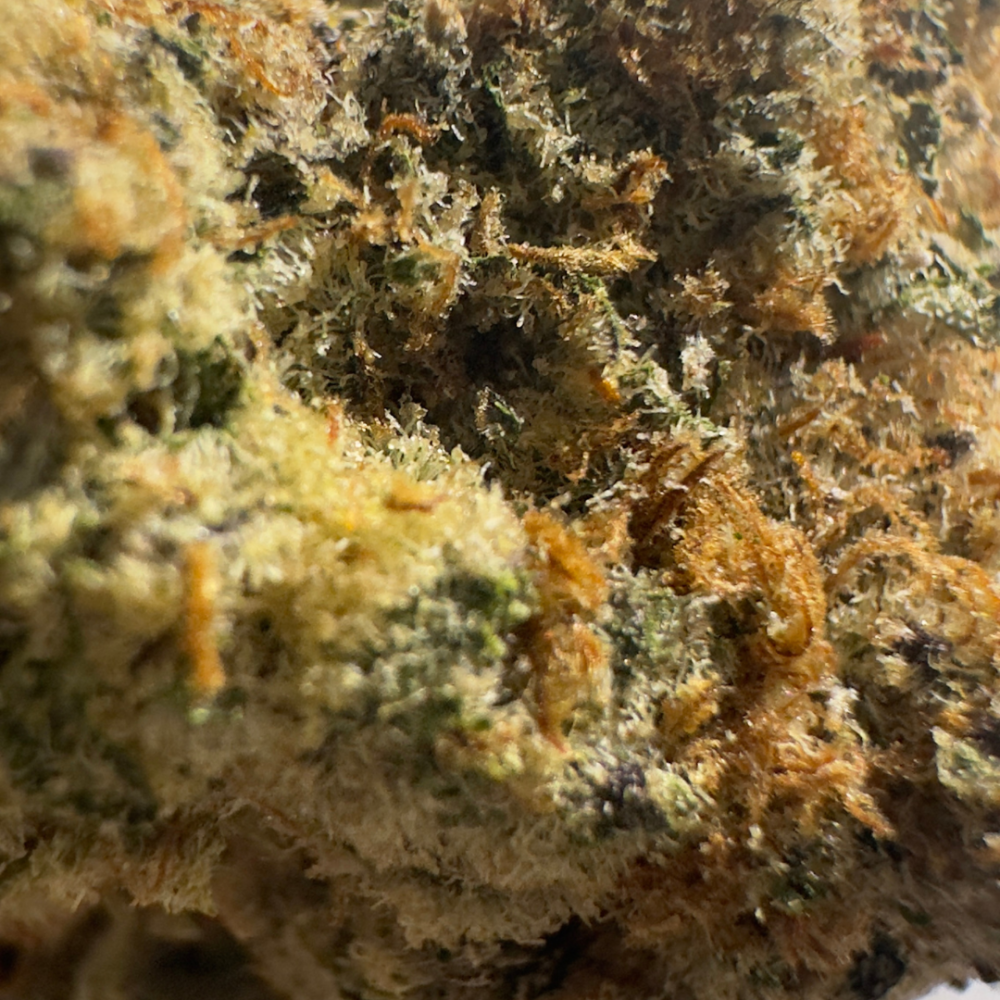 STRAWBERRY LEMONADE - Image 2