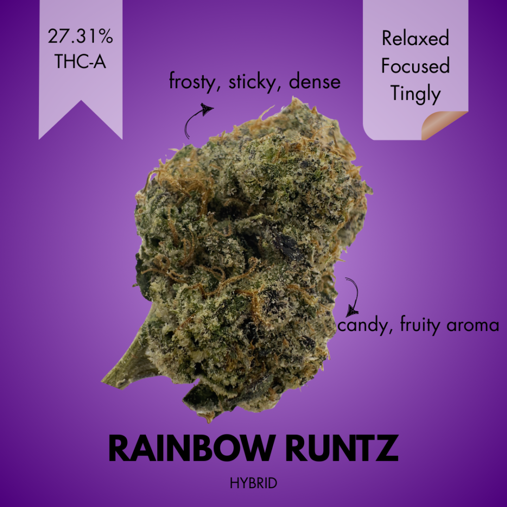 RAINBOW RUNTZ