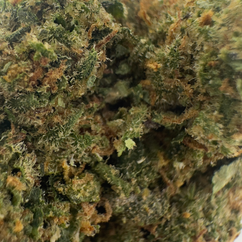 GRAPES N CREAM - Image 2