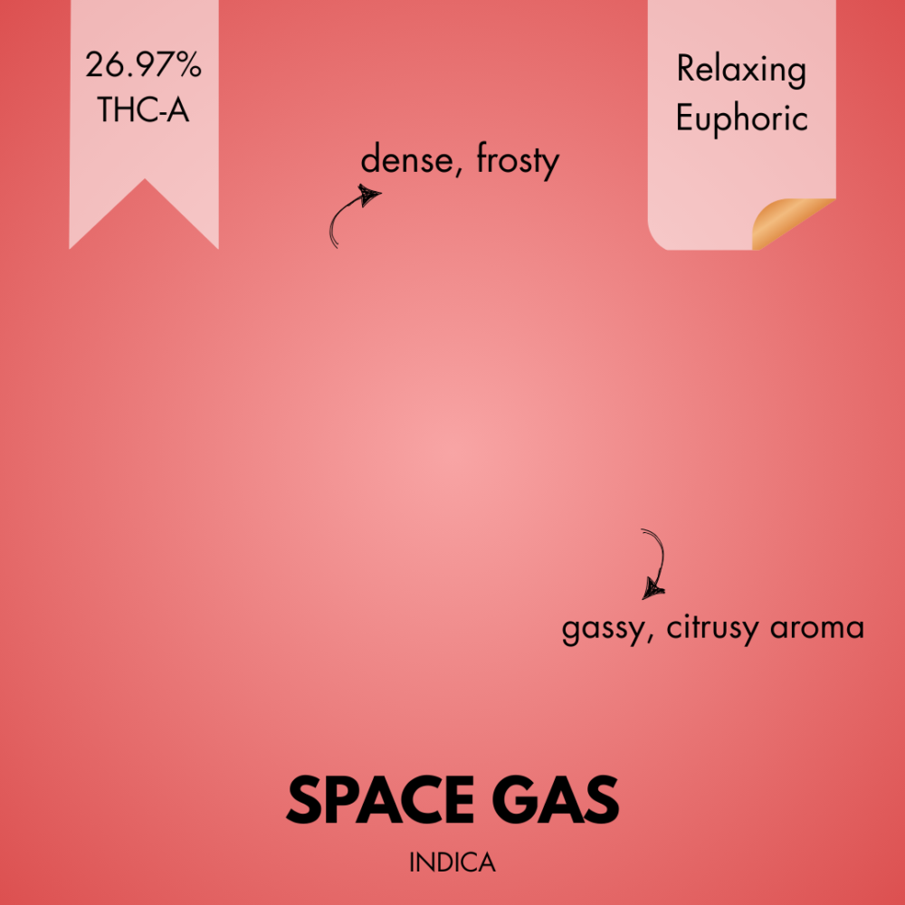 SPACE GAS