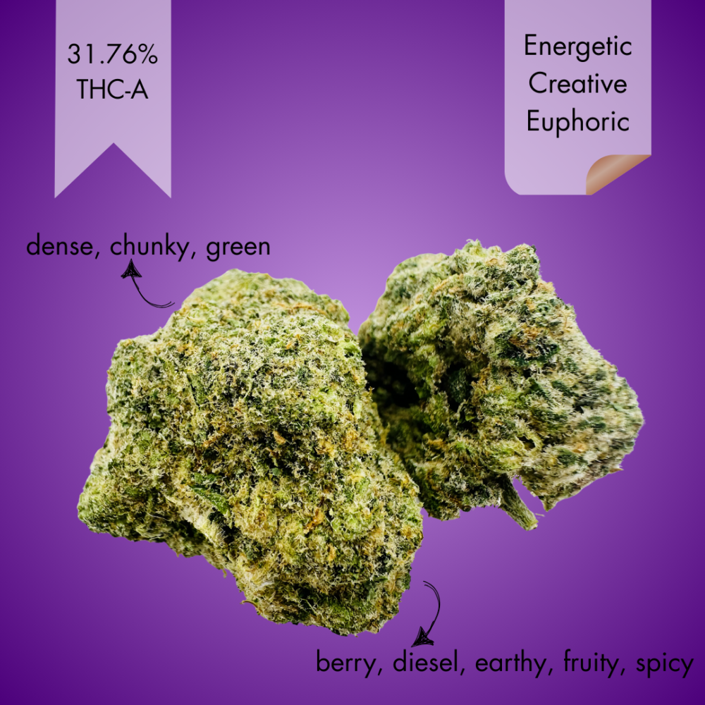 GOLDEN GAS
