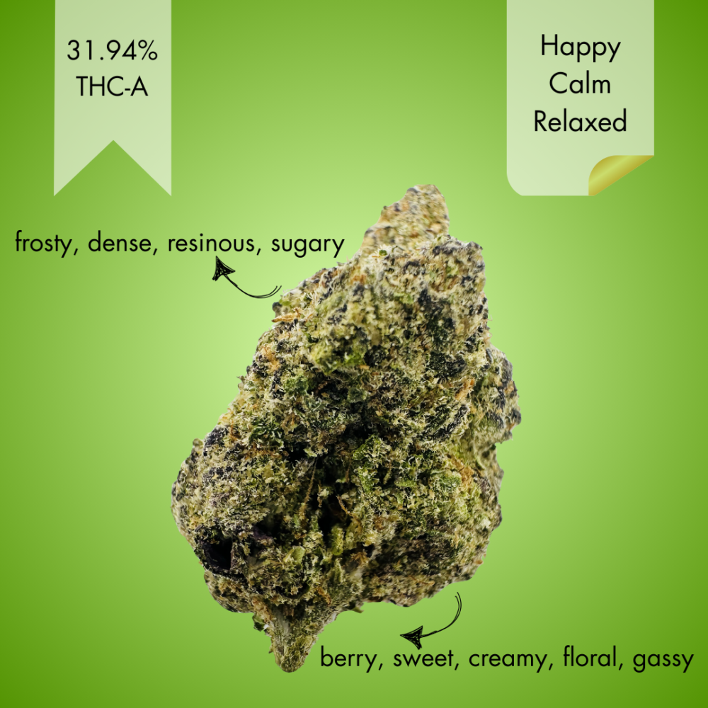 GELATO CANDY
