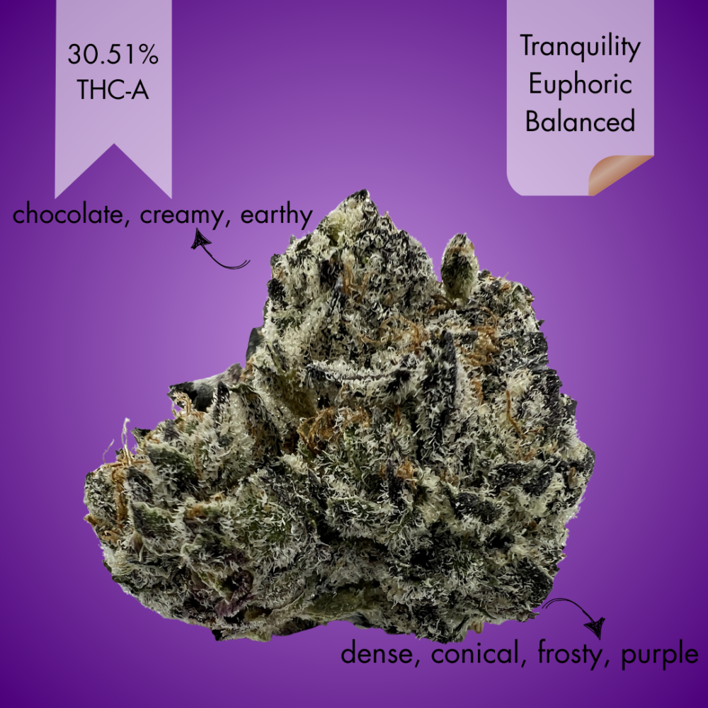 White Chocolate Chip