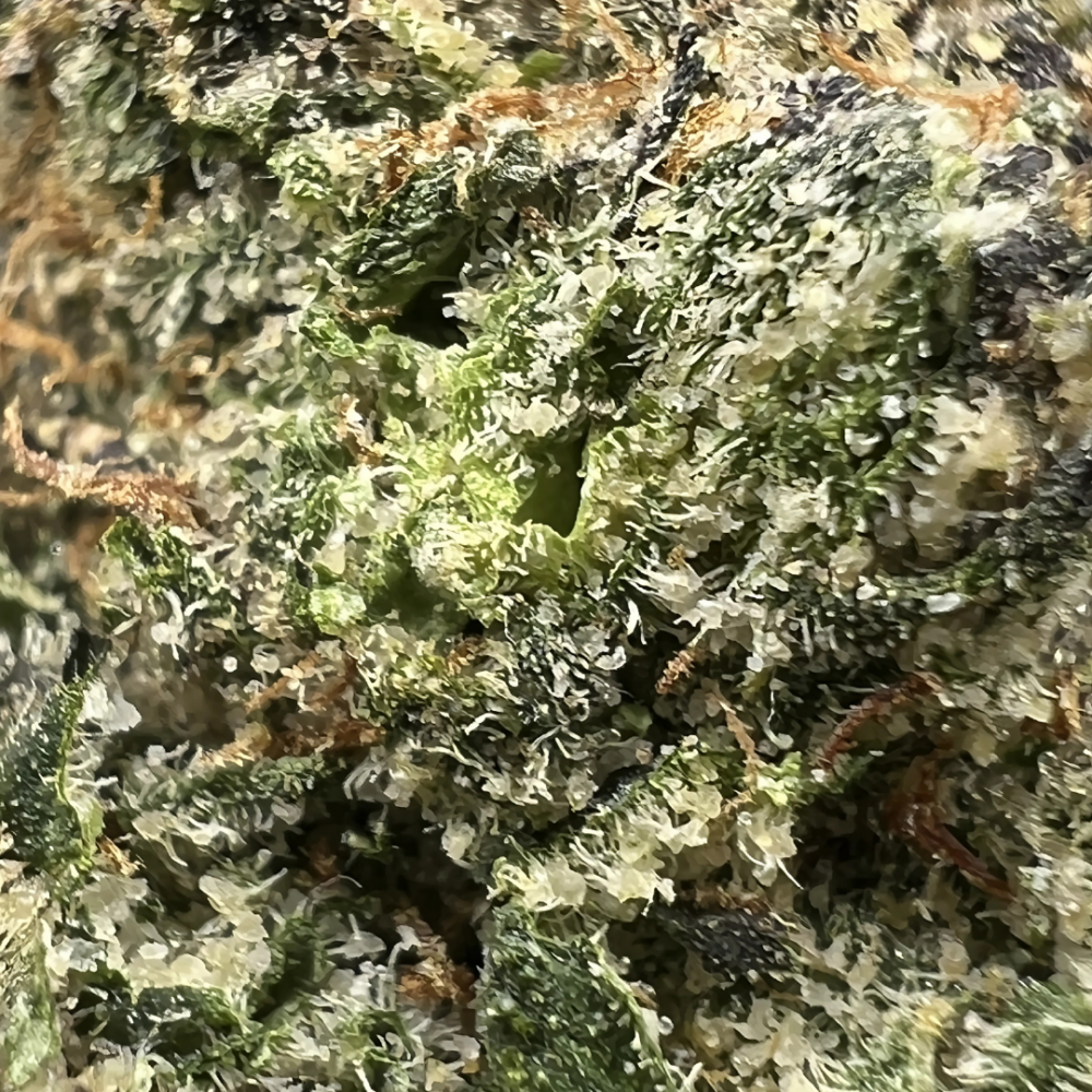 COSMIC CANDY - Image 2