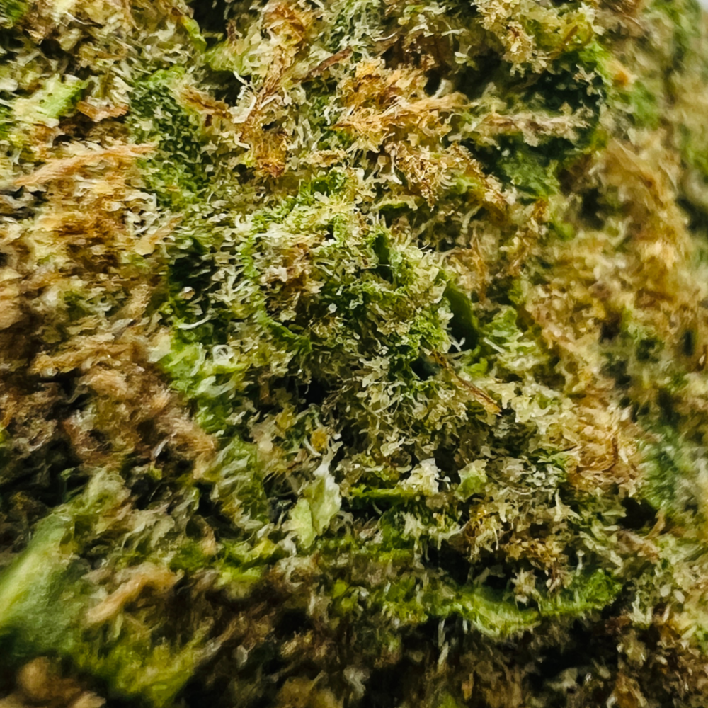 SOAP - Image 2