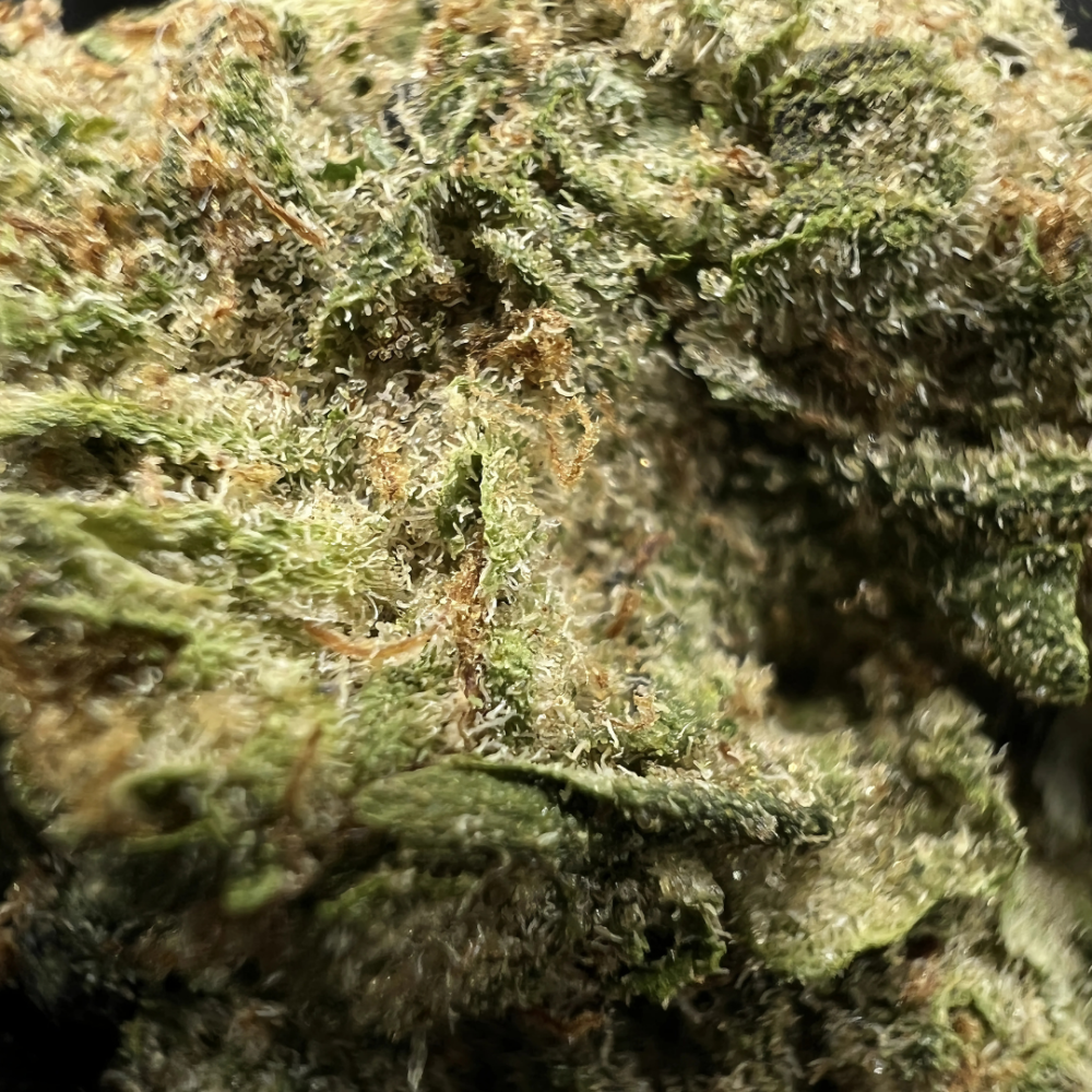 SWEET CHEESE - Image 2