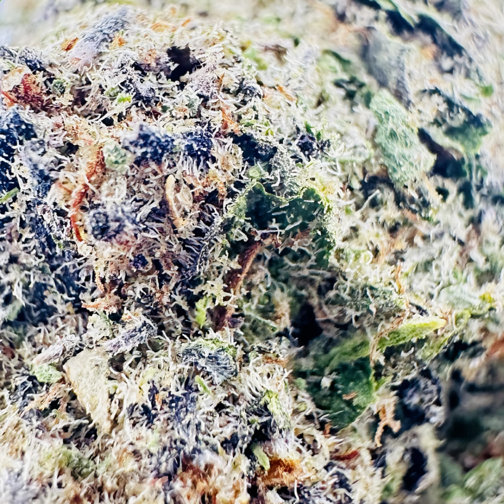 LAVA CAKE - Image 2