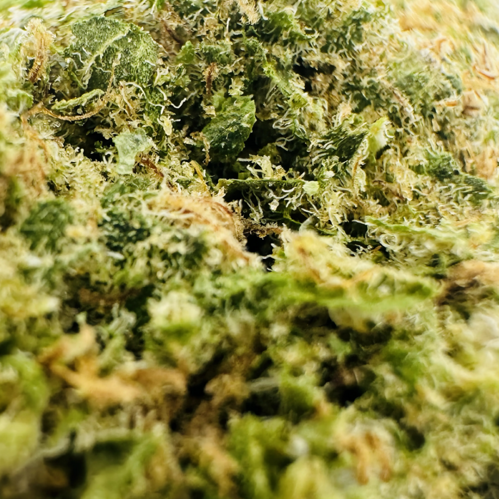 SUGAR LEMON CHERRY - Image 2