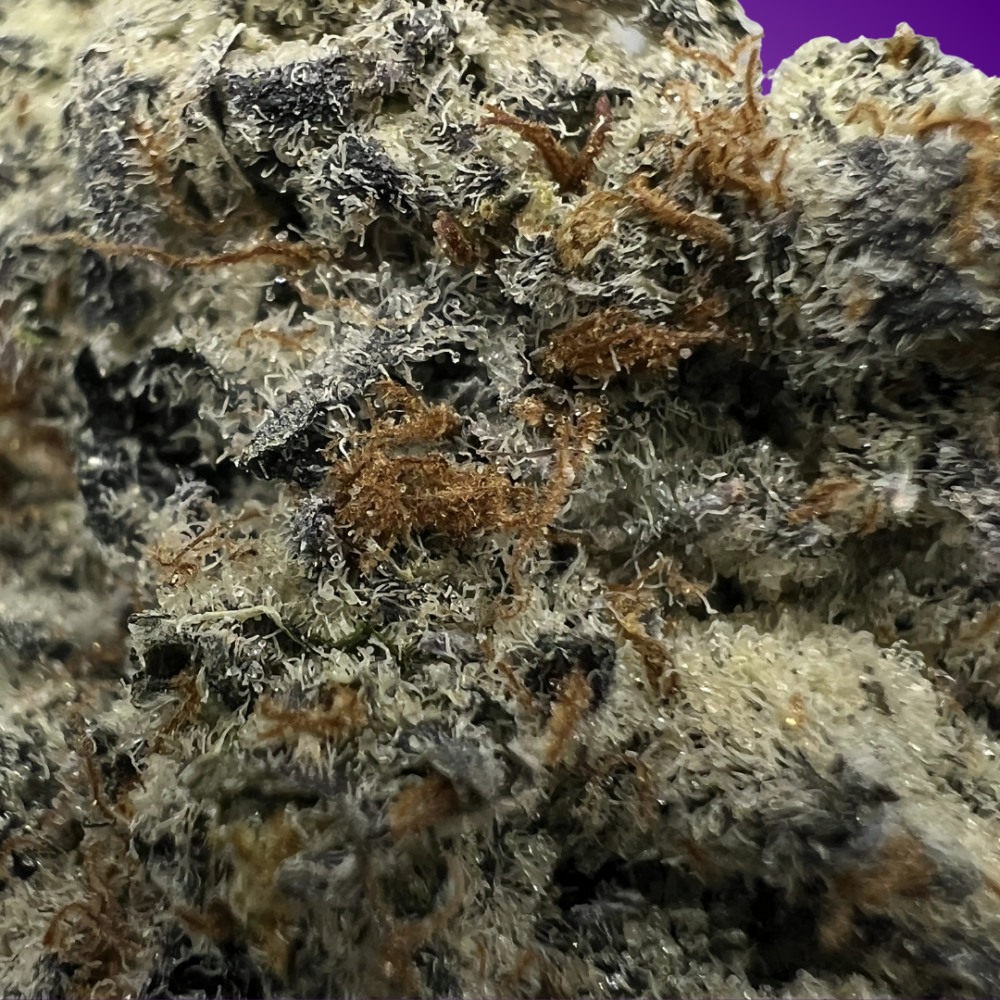 White Chocolate Chip - Image 2