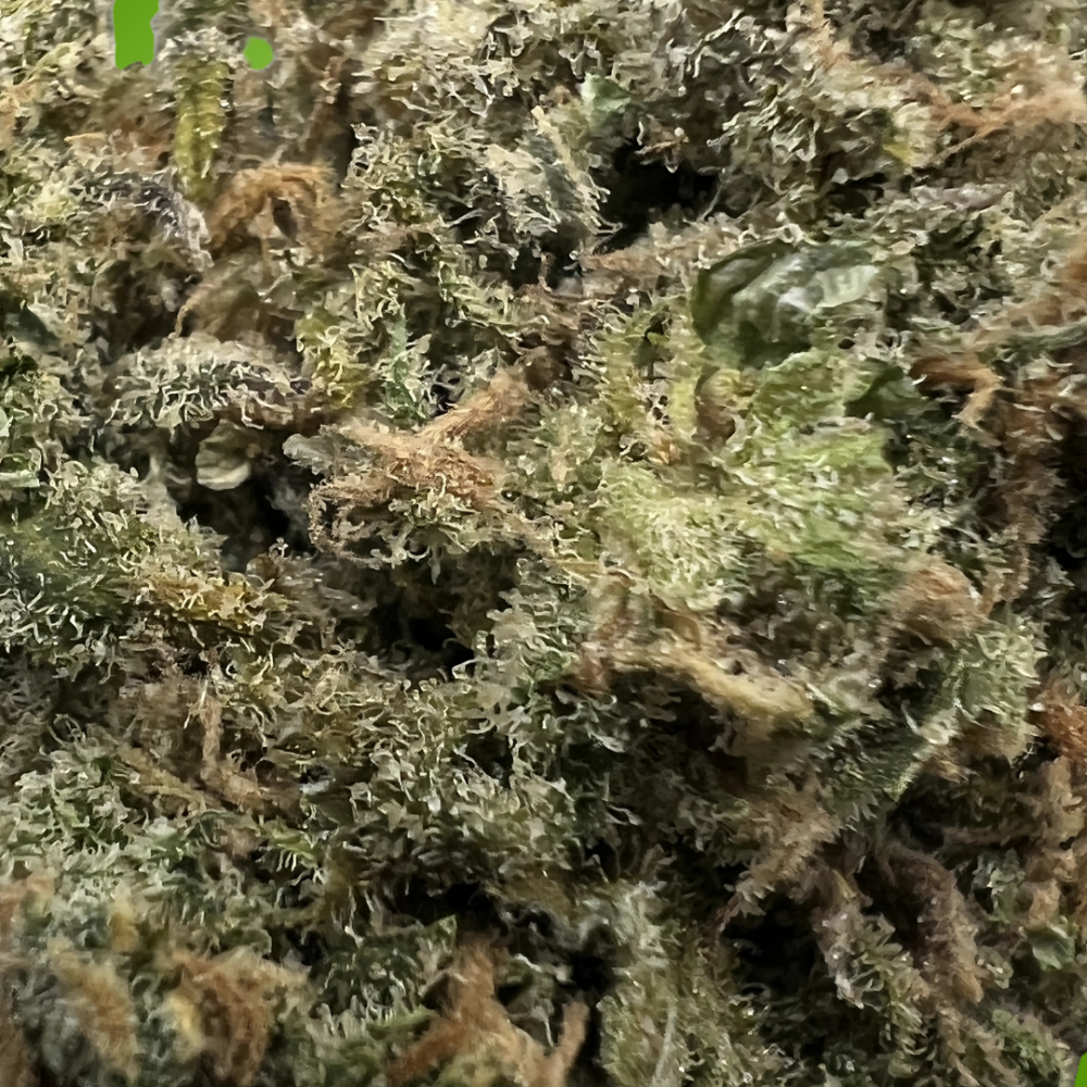 BLUE DREAM - Image 2