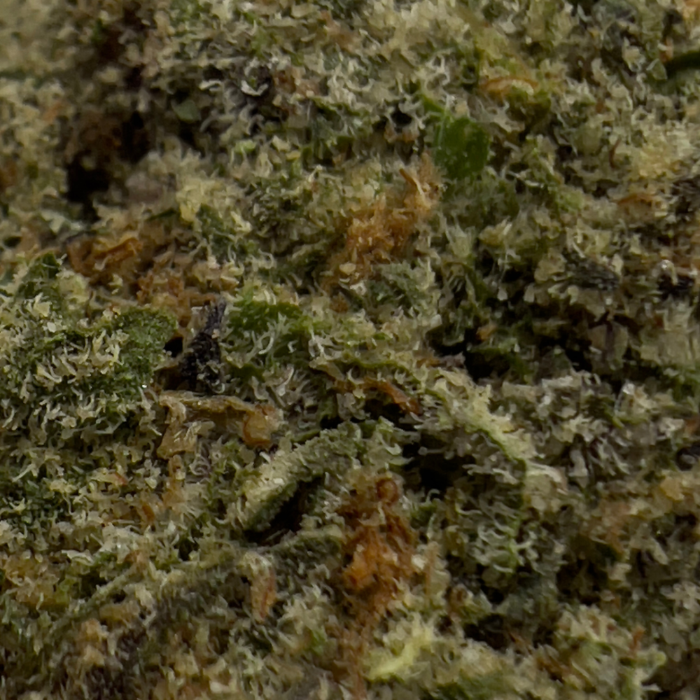 EYE CANDY - Image 2