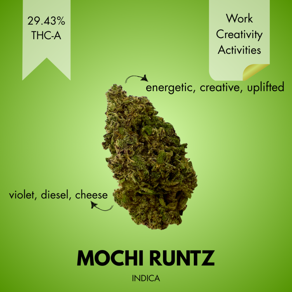 MOCHI RUNTZ