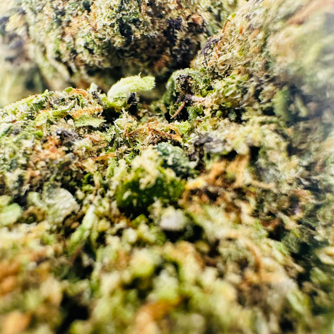 Blue Hawaiian - Image 2