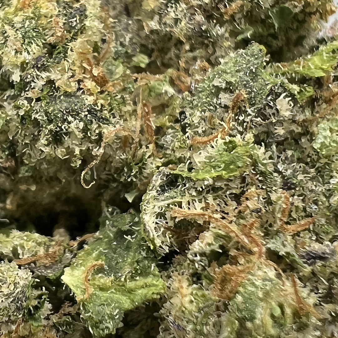 LA POP ROCKS - Image 2