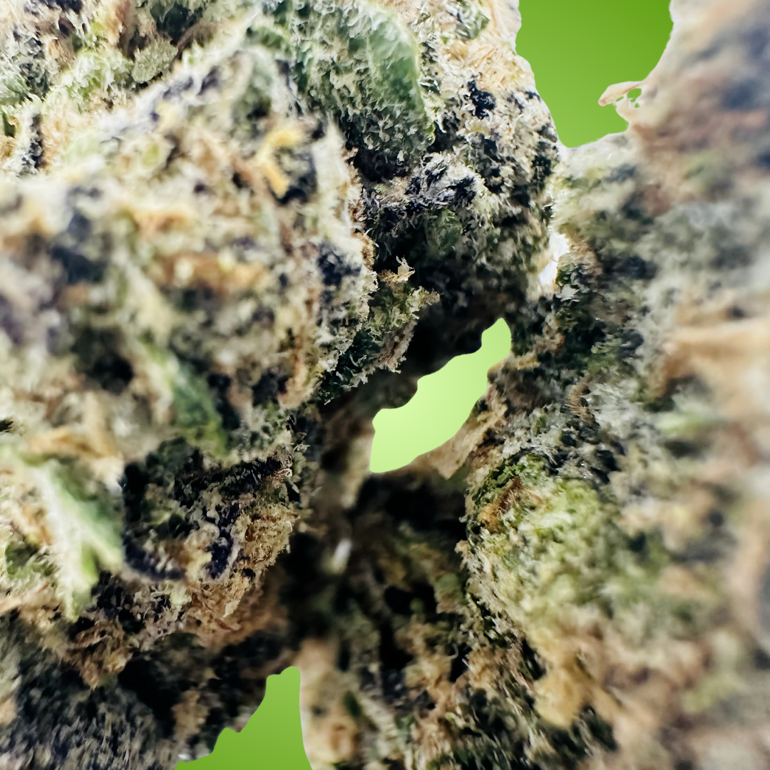 BUBBLE BATH - Image 2