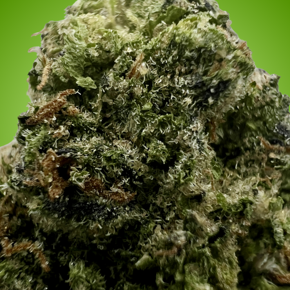 Shop Secondary Image