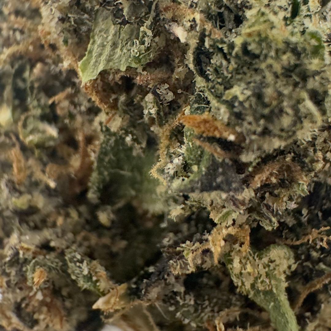 TRUFFLE TART - Image 2