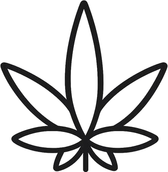 ChatGPT Image Feb 12, 2026, 11_49_38 AM (1)